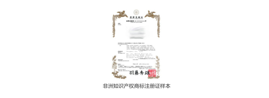 非洲知識產(chǎn)權注冊證樣本