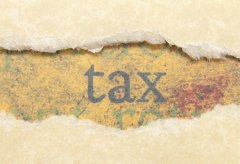 塞舌爾離岸公司0報稅政策是真的嗎？