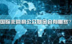 國際非營利公眾基金會有哪些？