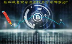 新加坡基金會(huì)注冊(cè)代辦公司哪家好？