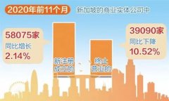 增長！增長！疫情背景下新加坡公司新注冊數(shù)量逆勢增長！
