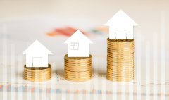 搭建VIE架構(gòu)為什么選擇注冊(cè)BVI公司、開曼公司和香港公司?