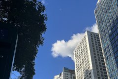 美國公司未按時報稅或繳稅的處罰標(biāo)準(zhǔn)是什么