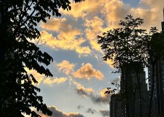 2025上半年，中國企業(yè)出海刷新全球副本：更猛、更強、更聰明