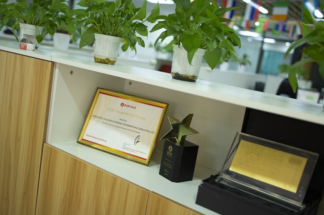 土耳其公司注銷(xiāo)代辦服務(wù)：專(zhuān)業(yè)護(hù)航，合規(guī)退出的優(yōu)選方案