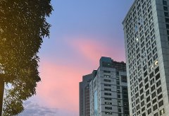 泰國BOI核心優(yōu)勢(shì)解析：外資布局東南亞的政策利器